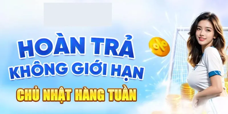 Bet88 mang đến một chính sách hoàn trả hấp dẫn