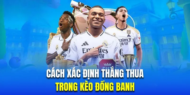 Hướng dẫn xác định mức độ thắng thua của kèo đồng banh