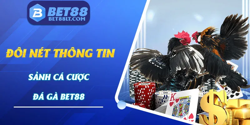 Đôi nét thông tin về sảnh cược đá gà trực tuyến Bet88