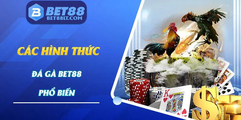 Những hình thức đá gà phổ biến tại Bet88