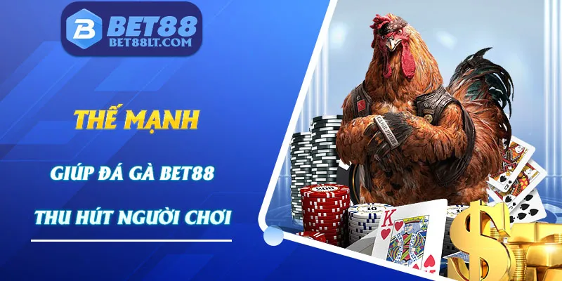 Thế mạnh của sảnh chơi thu hút đông đảo người chơi tham gia